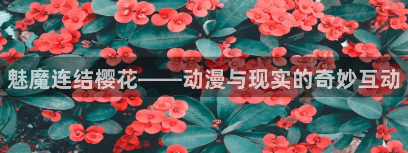 omofun动漫官方正版入口