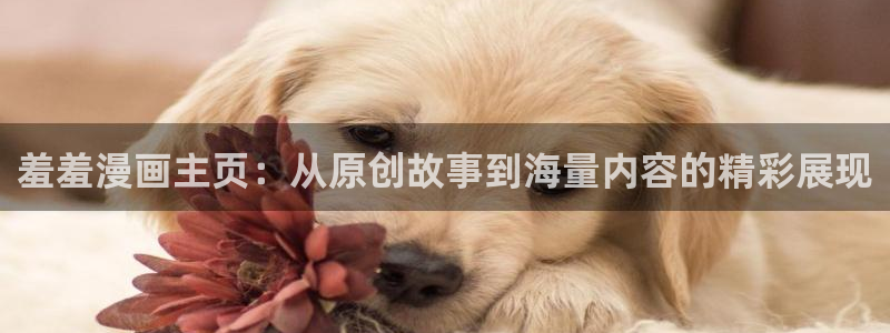 omofun下载官网