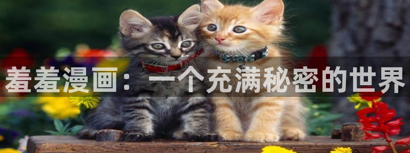omofun动漫免费观看官网