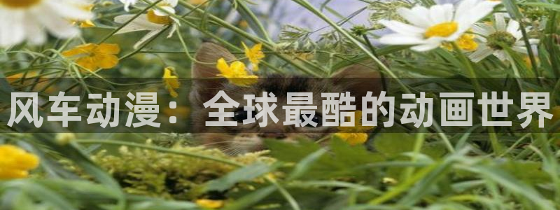 omofun可以投屏吗