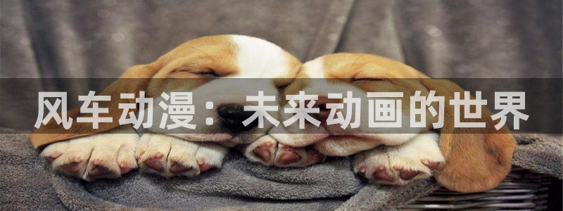 动漫之家安卓下载