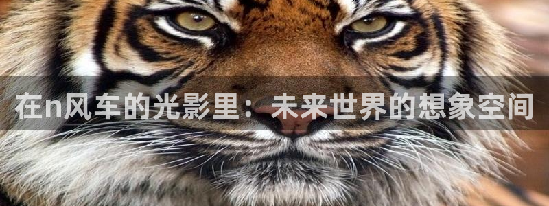 omofun在线