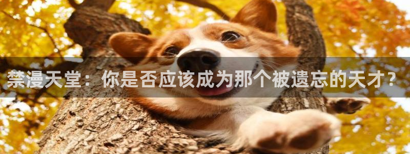 omofun动漫动画