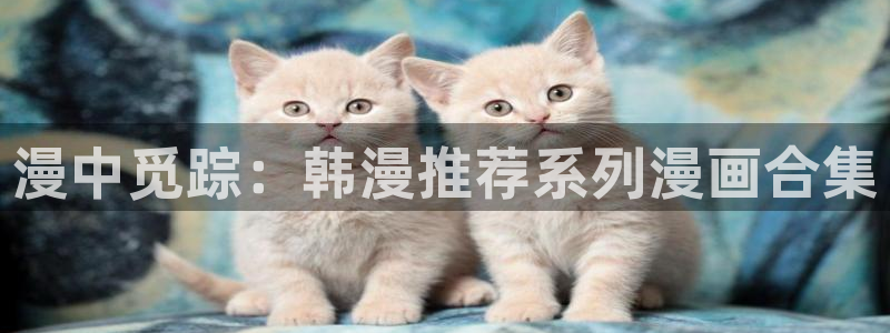 omofun完整版