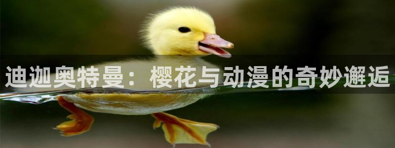 omofun动漫旧版本