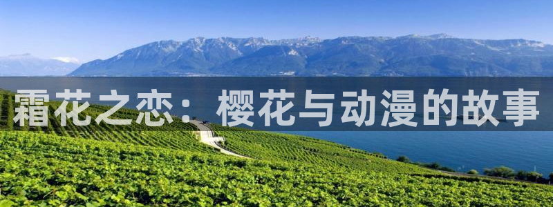 omofun网页版地址