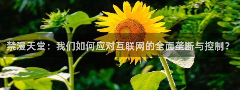 omofun动漫网页版：禁漫天堂：我们如何应对互联网的全面垄断与控制？
